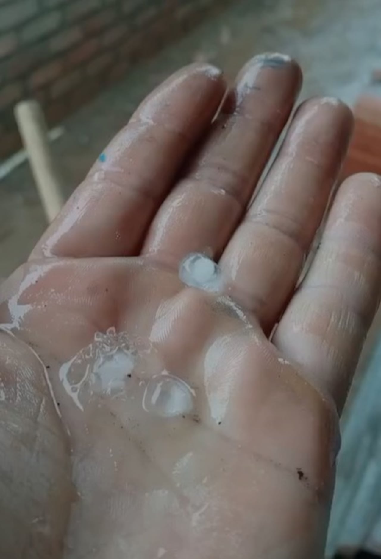 En sectores como la vereda Santa Bárbara, la caída de granizo habría ocasionado daños en cultivos de pancoger. Hasta el momento no existe un balance oficial de las pérdidas.