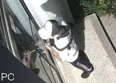 Las cámaras de seguridad del sector han captado algunos intentos de robo.