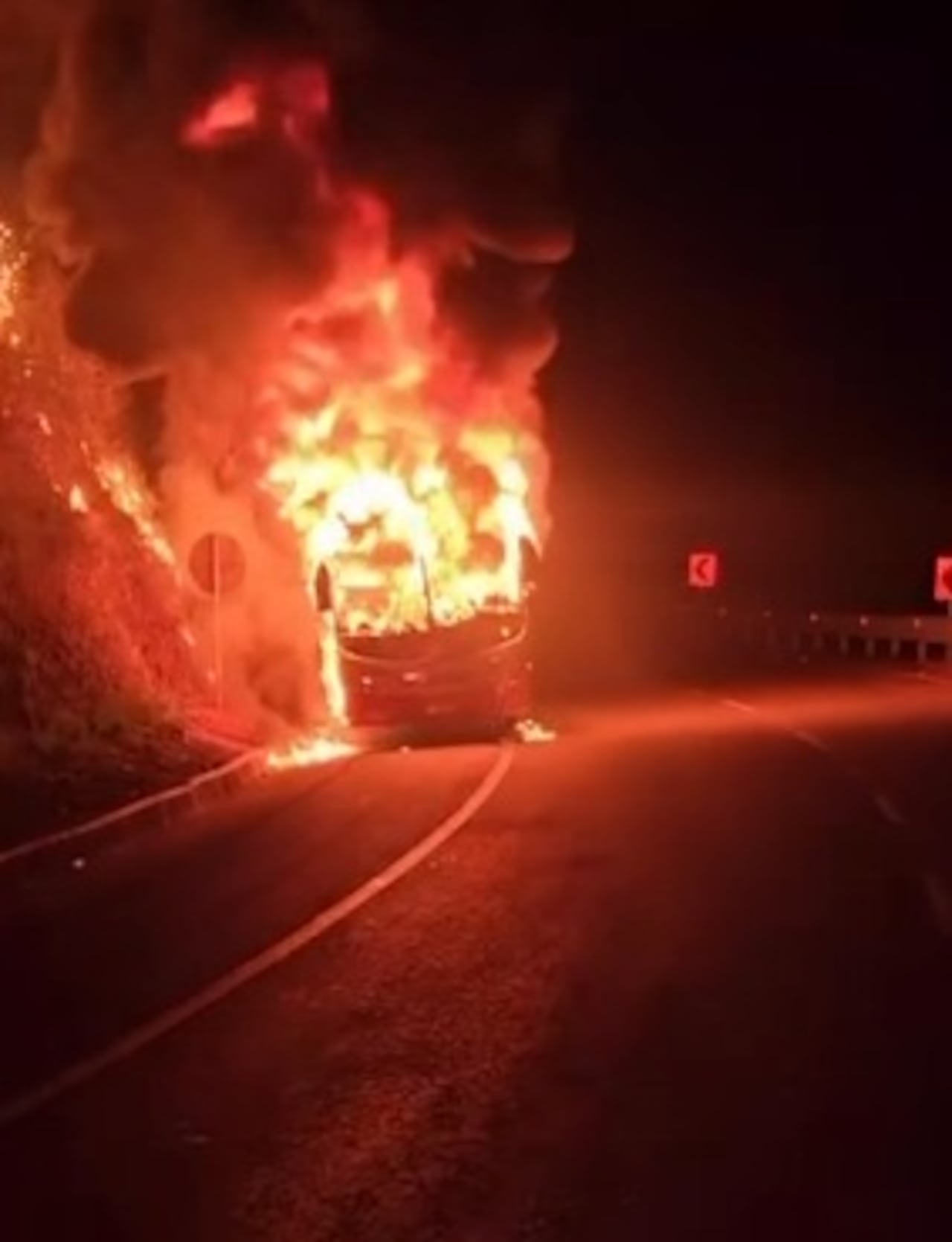Esta situación fue reportada por los mismos usuarios de la vía Panamericana, cuando varios sujetos armados salieron al sector de Mandivá, Santander de Quilichao, para luego detener el paso del vehículo y después prenderle candela.