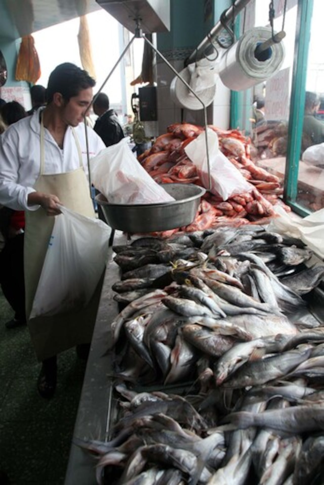 Una investigación de la UN y la Universidad de Cartagena halló muestras de atún enlatado con niveles de concentración de mercurio que superan los permitidos por las entidades sanitarias.