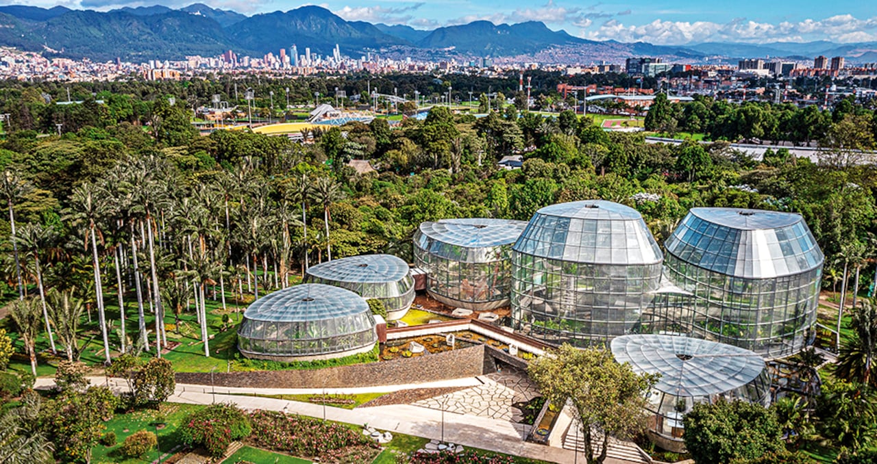 “Hemos sembrado más de 650.000 árboles desde 1998. Bogotá tiene 1,4 millones en el espacio público”.