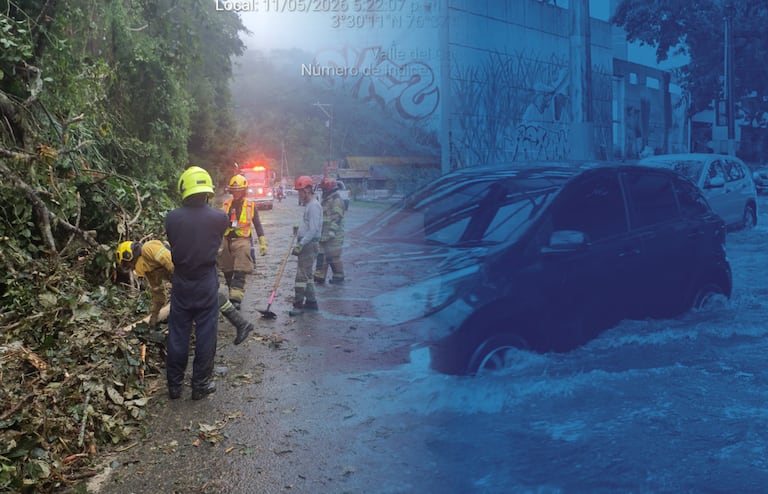Organismos de socorro y autoridades locales atienden múltiples llamados por vías bloqueadas, pérdida de techos y cortes de energía.