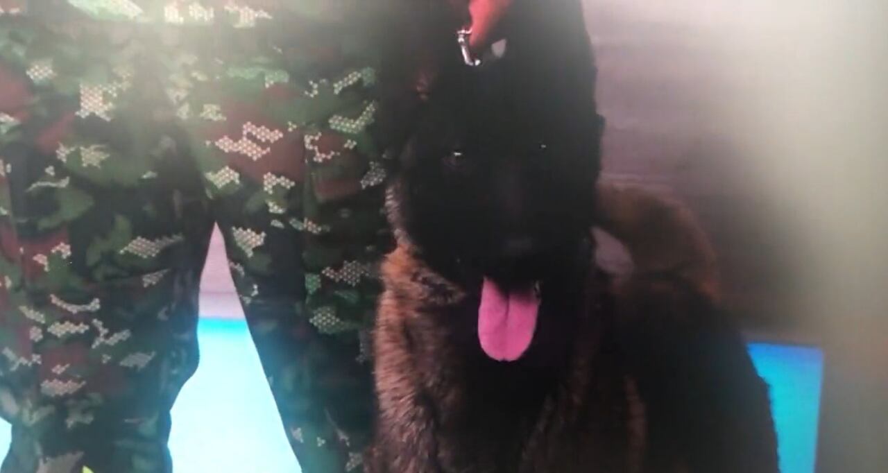 Hermano de Wilson apareció en televisión, en medio de las demostraciones por el 20 de julio.