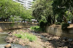 La ola de calor y la sequía tienen al rio Cali en bajos niveles de caudal.