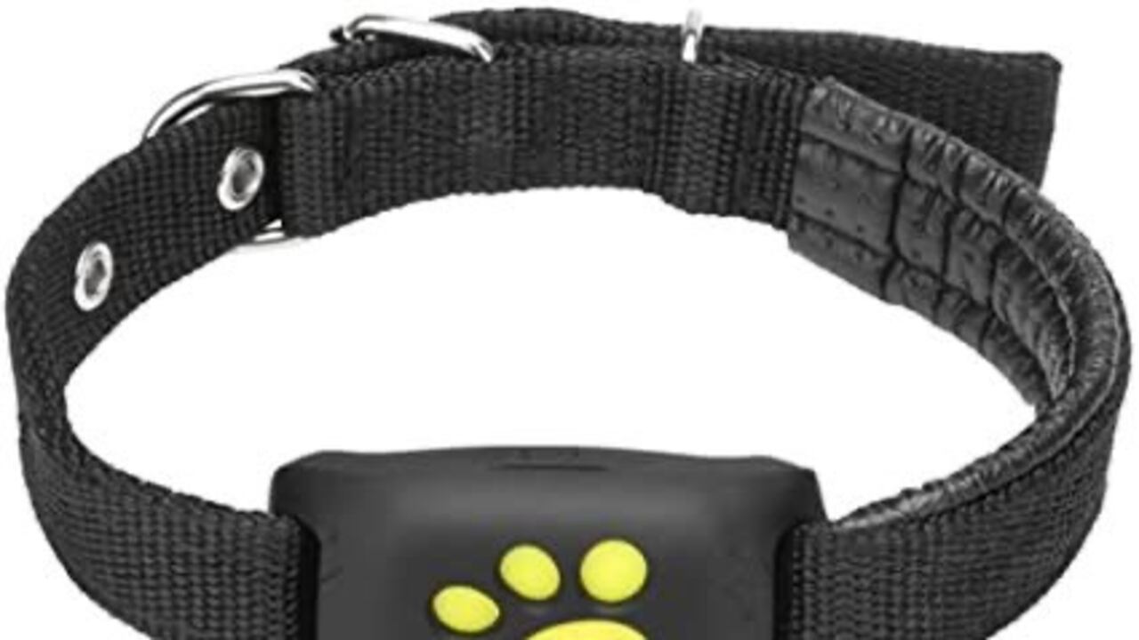 El GPS para mascotas es un dispositivo que permite conocer en tiempo real la ubicación del animal.
Foto: Pinterest