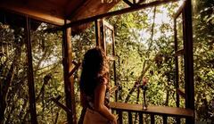 Tominejo Ecolodge, es un hospedaje con cabañas inmersas en el bosque, abrazadas por los árboles y cuyos nombres están inspirados en diferentes especies de aves.