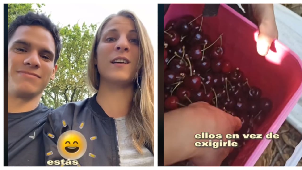 Utilizando TikTok, esta pareja de latinos comparte su experiencia laboral en Nueva Zelanda y brinda consejos para sobrevivir en otros países.