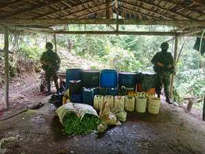 Laboratorios para producir pasta de coca fueron destruidos por el Ejército.