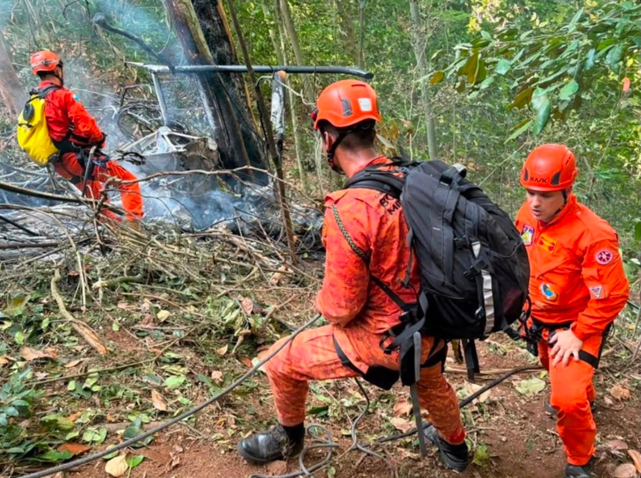 Tres integrantes de una misma familia perdieron la vida tras el desplome de una aeronave en un sector boscoso de Río de Janeiro.