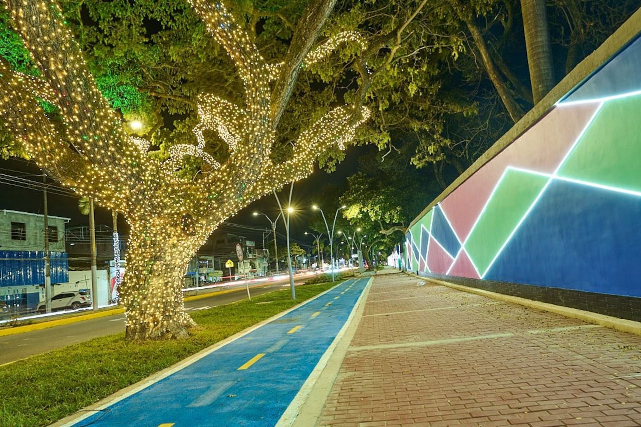 Bulevar de la 42 en Palmira