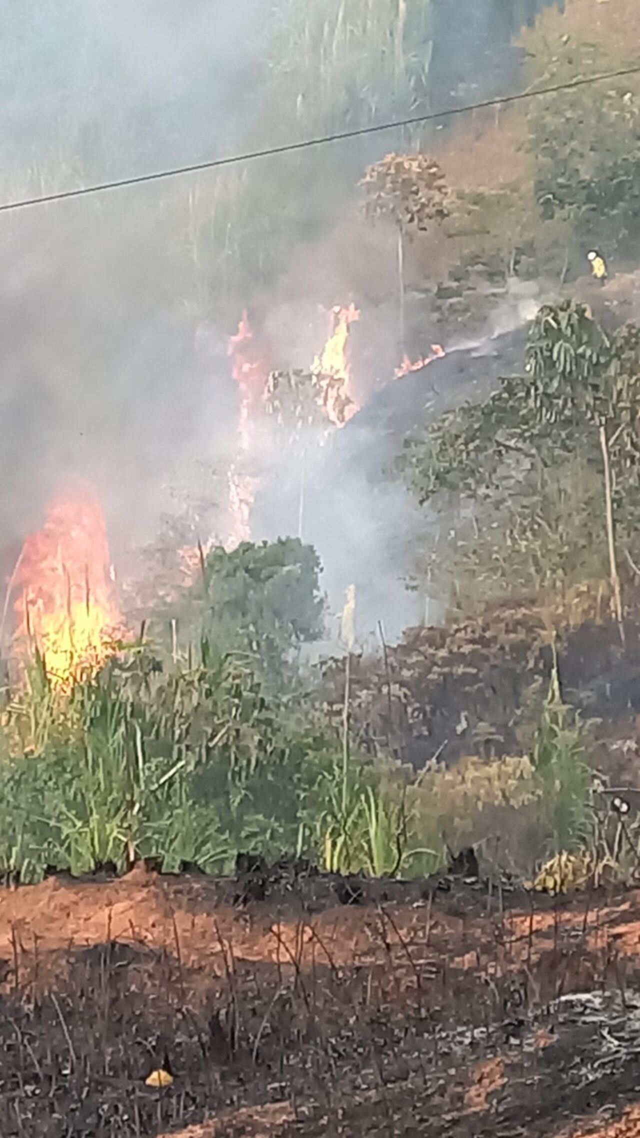 El incendio forestal que ahora se registra en la vereda El Tablón, zona rural del municipio de Timbío, comenzó en las primeras horas de la tarde de este jueves 19 de septiembre, confirmaron pobladores de la zona.