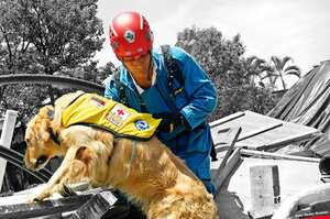 Durante nueve días, Roger Casas y Lenox, su amigo inseparable, recorrieron algunas de las poblaciones más golpeadas por el terremoto de Ecuador en 2016.