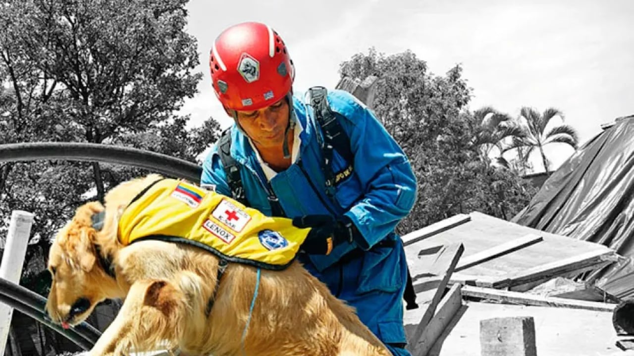 Durante nueve días, Roger Casas y Lenox, su amigo inseparable, recorrieron algunas de las poblaciones más golpeadas por el terremoto de Ecuador en 2016.