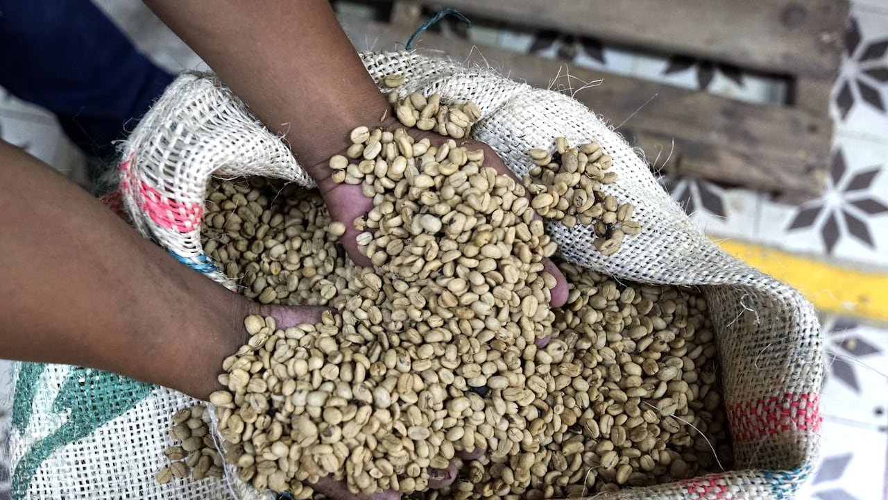 El día Nacional del café se celebra este jueves 27 de junio, con el aniversario de la creación de la Federación Nacional de Cafeteros, entidad que nació el 27 de junio de 1927