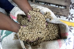 El día Nacional del café se celebra este jueves 27 de junio, con el aniversario de la creación de la Federación Nacional de Cafeteros, entidad que nació el 27 de junio de 1927