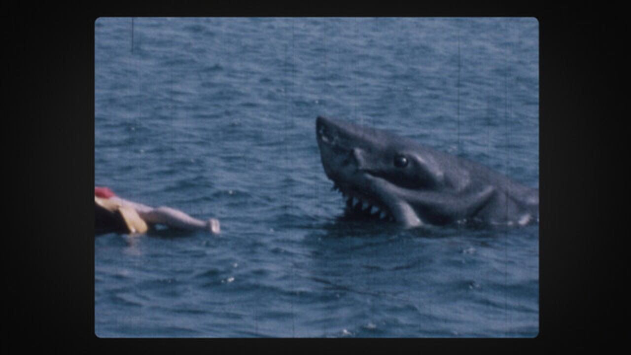 Tras el estreno, disminuyeron los turistas y aumentó la muerte de tiburones.