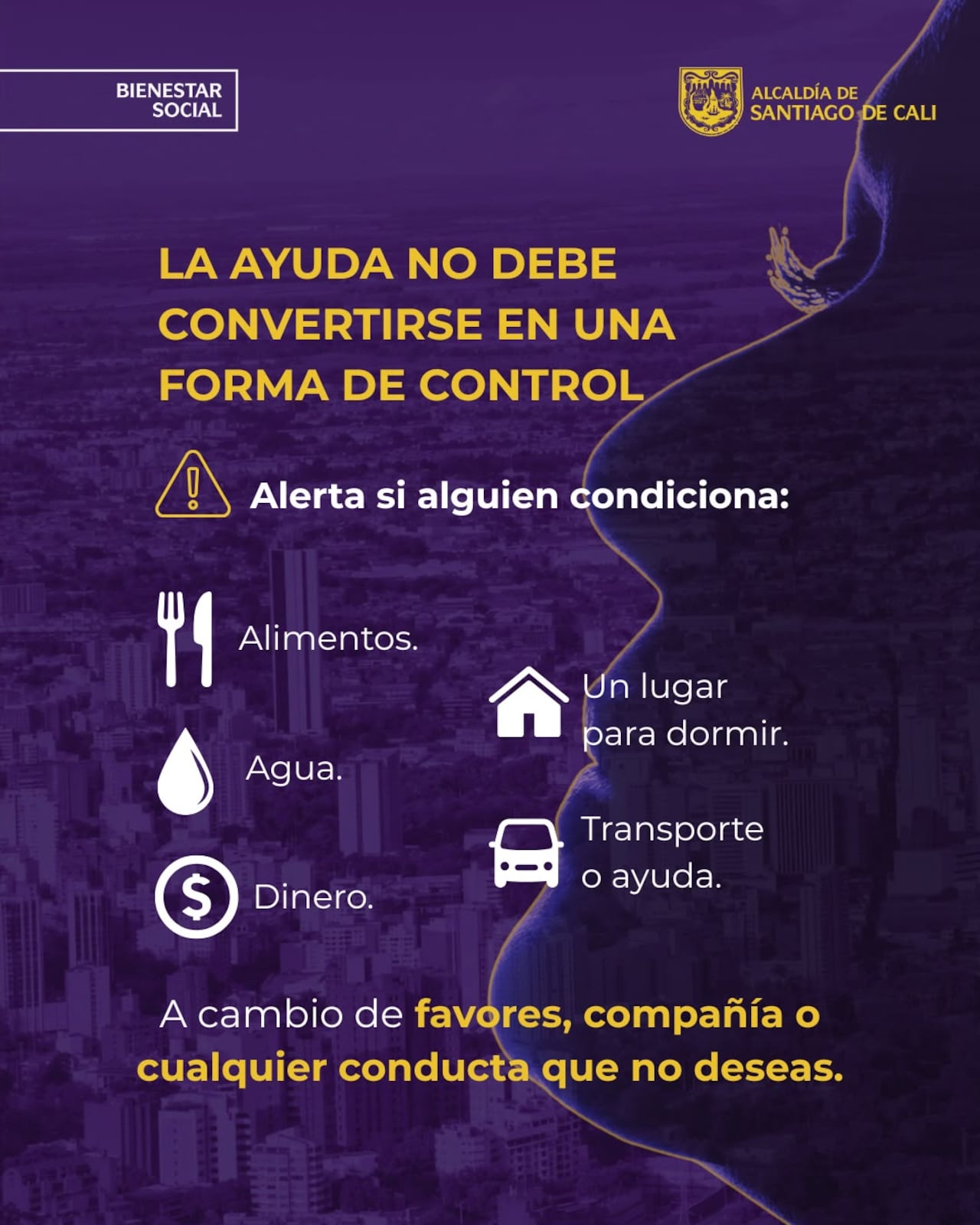 A través de piezas informativas, la Alcaldía busca orientar a mujeres, niñas y adolescentes sobre las señales de alerta y las rutas de atención disponibles.