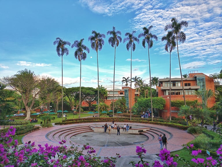 Universidad Autónoma de Occidente