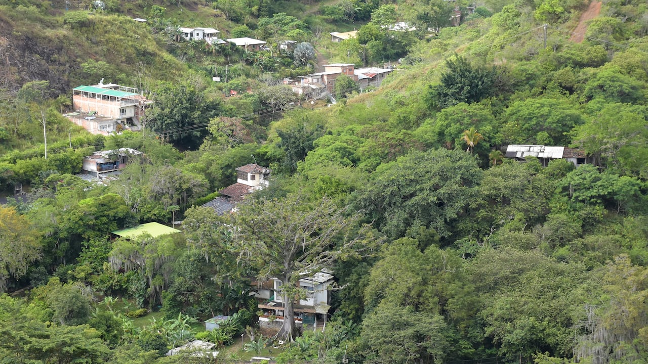 En Pilas del Cabuyal hay una invasión que tiene más de 20 techos y está sobre un área de reserva forestal nacional.