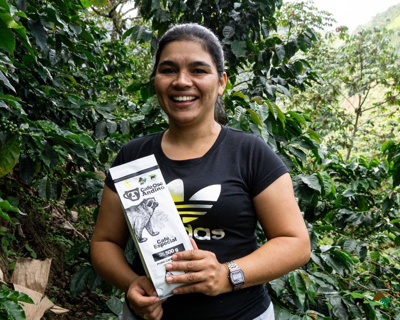 Café Oso Andino
