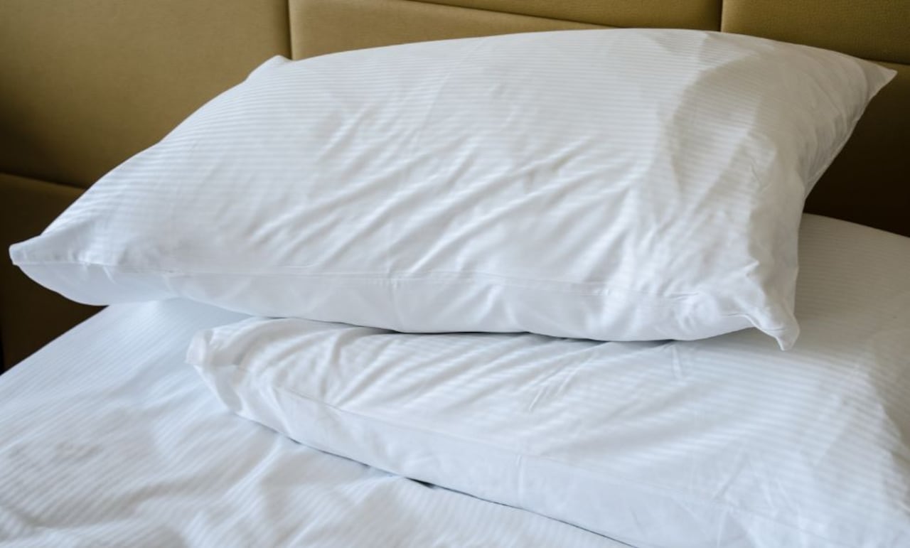 Las fundas de almohadas sin lavar se convierten en un caldo de cultivo para los ácaros del polvo y los alérgenos.