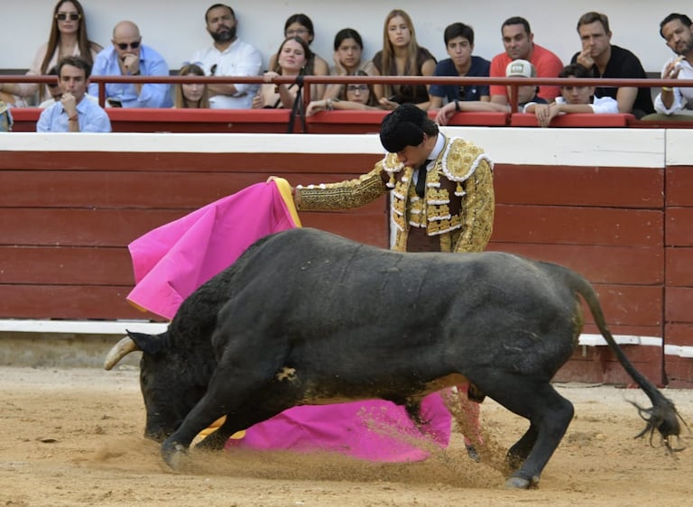 El venezolano Jesús Enrique Colombo, en un capotazo a toro de Salento, ganadería que envió bello e interesante encierro para la ultima de abono.