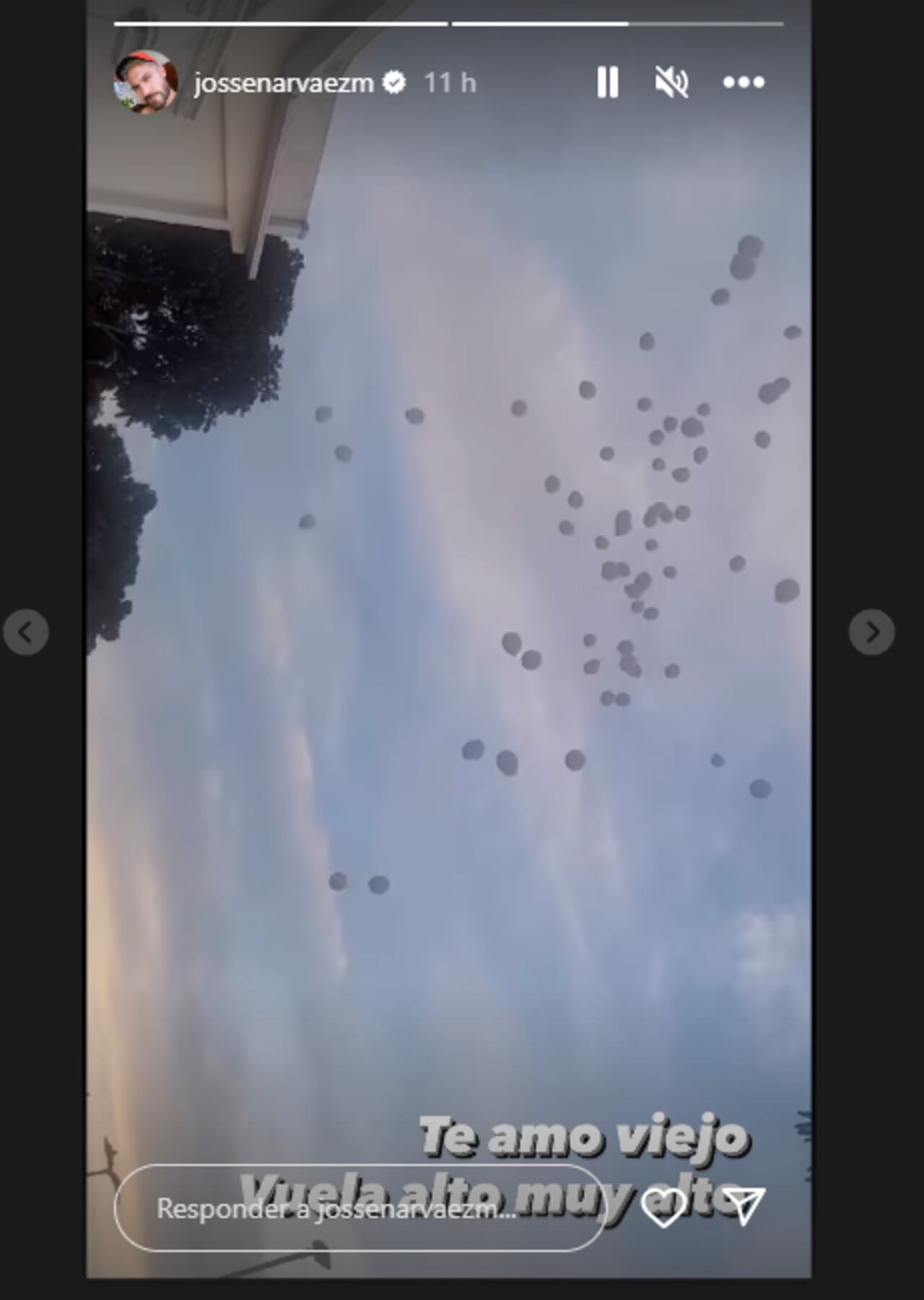 Muerte del padre de Josse Narváez