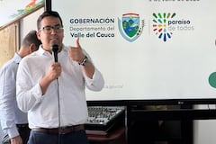 El funcionario advierte que la expansión de las disidencias de las Farc ha obligado a reforzar la presencia militar en varios municipios del departamento.