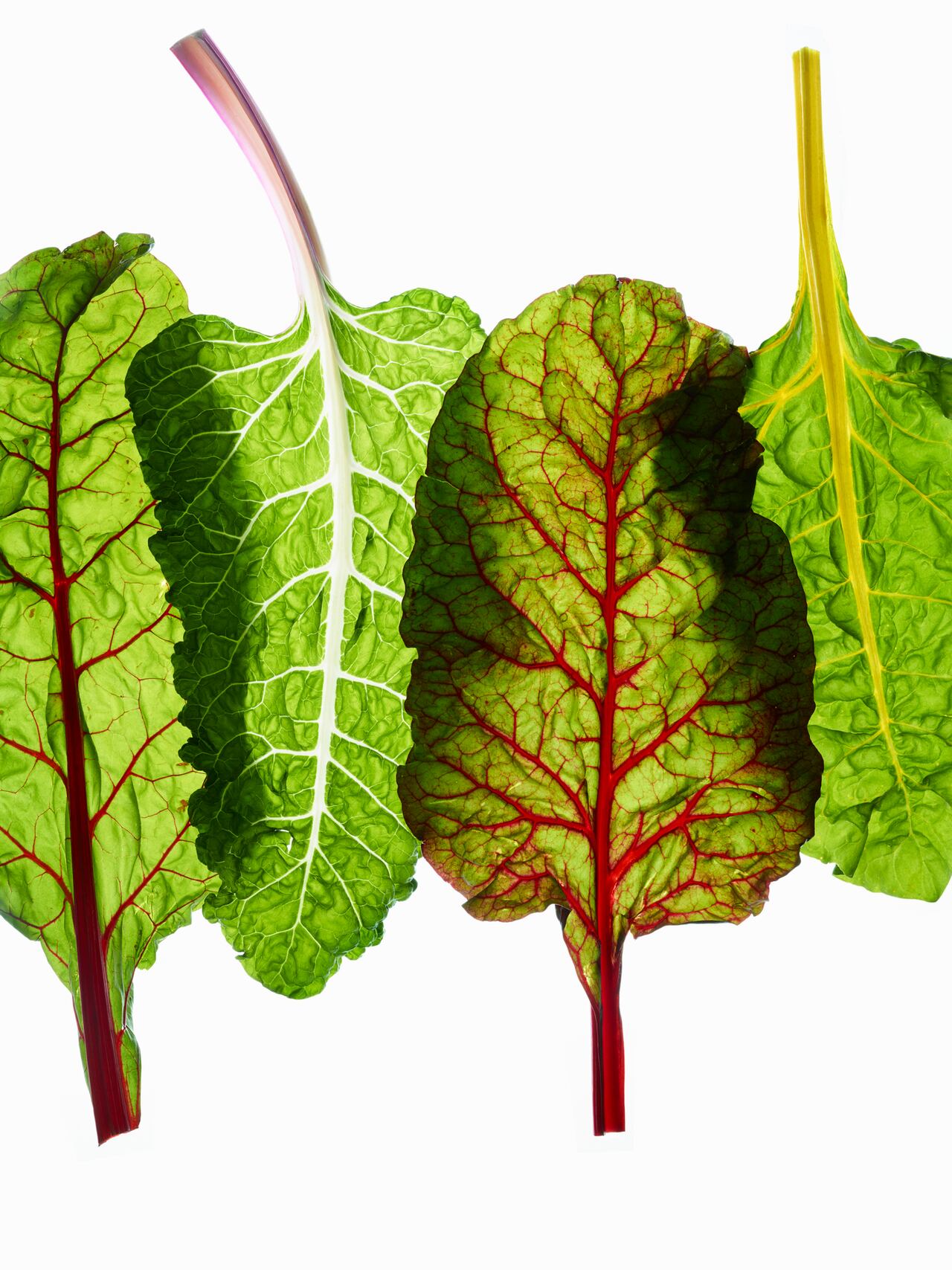 La acelga es muy nutritiva.