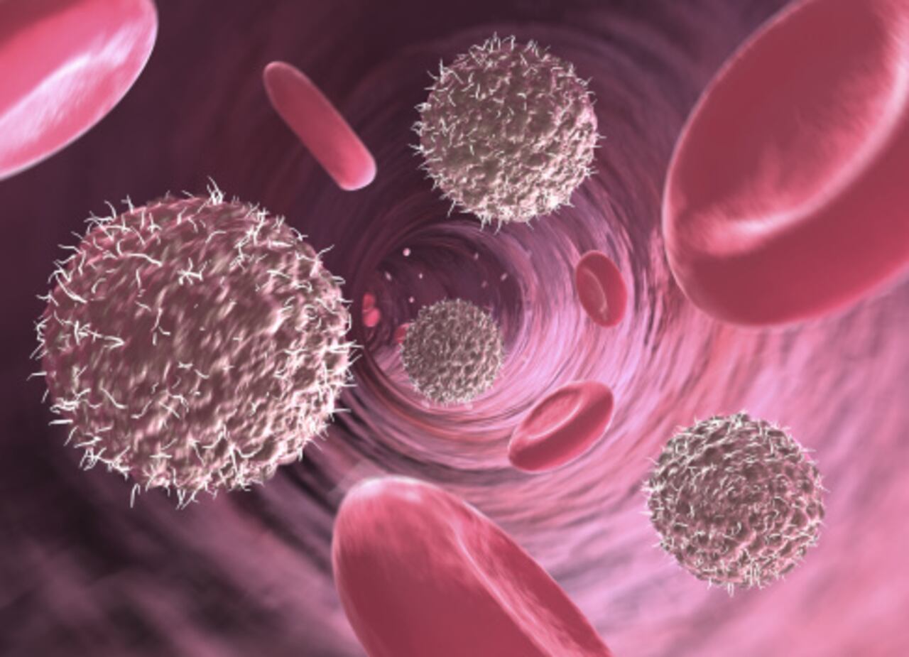 Con el tiempo, el sistema inmune se debilita.