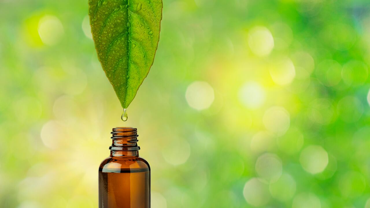 En la búsqueda de alternativas naturales para la limpieza del hogar, el aceite de árbol de té se está destacando por su capacidad para ofrecer una limpieza profunda y efectiva sin los efectos secundarios de los productos tradicionales.