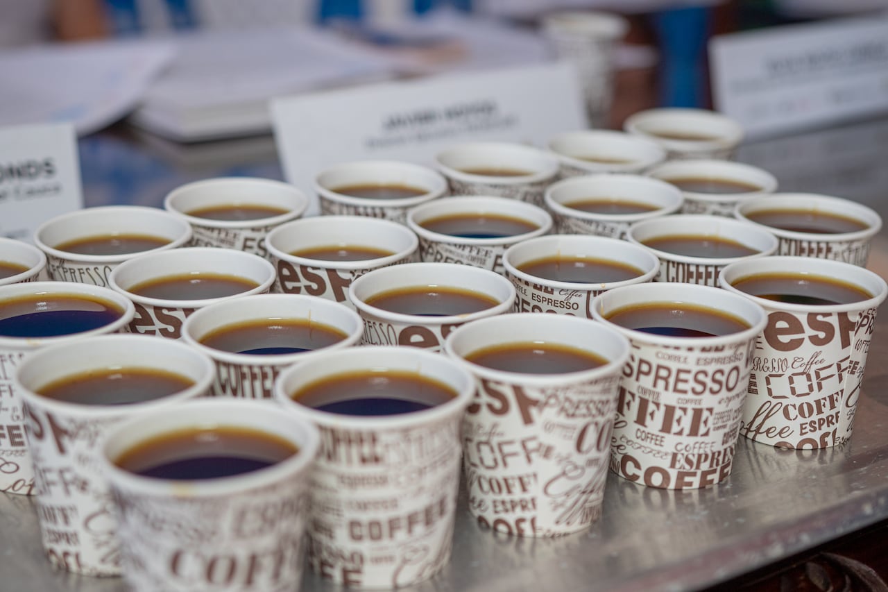 En Popayán arranca Cauca Sabe a Café