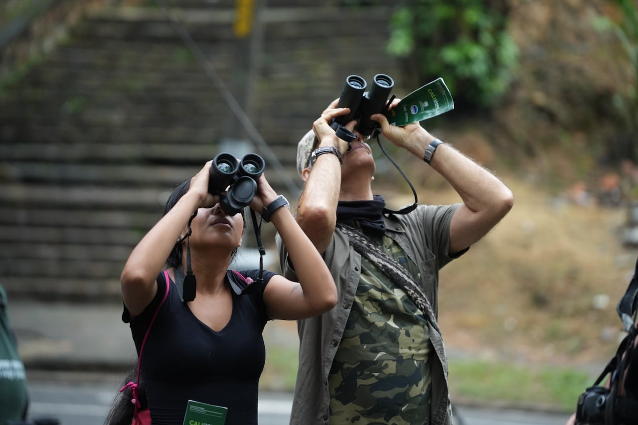 Colombia BirdFair