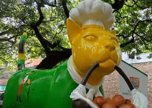 Cali: Una nueva novia para el gato de Tejada "La Gata Pandebonera", que representa el sueño, la tierra fértil, las plantas y el grano de maíz.