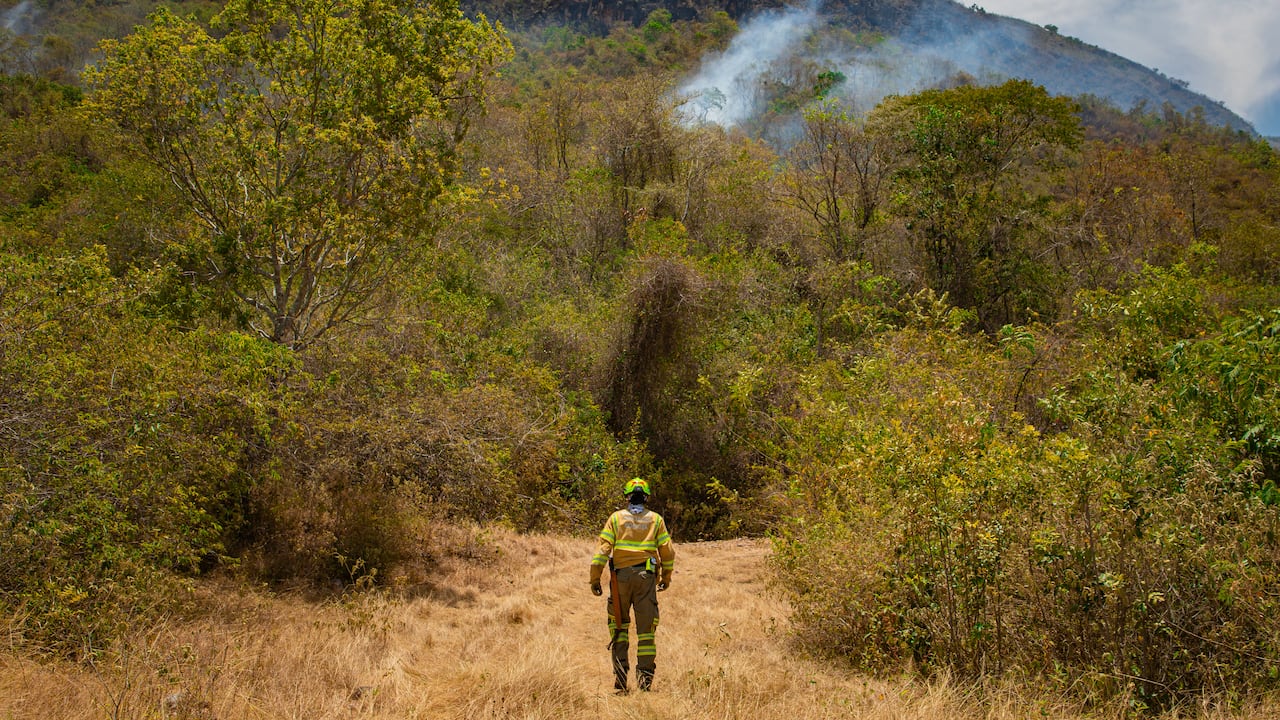 Incendios forestales en el departamento del Tolima
Bomberos, helicóptero