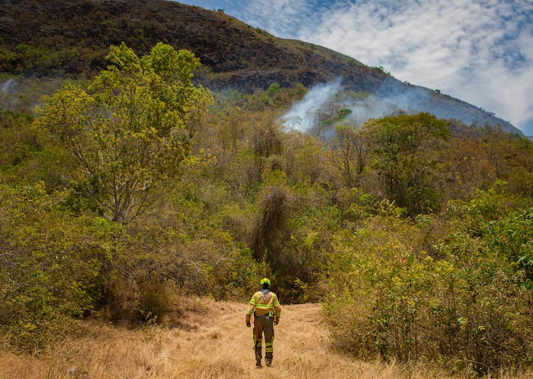 Incendios forestales en el departamento del Tolima
Bomberos, helicóptero