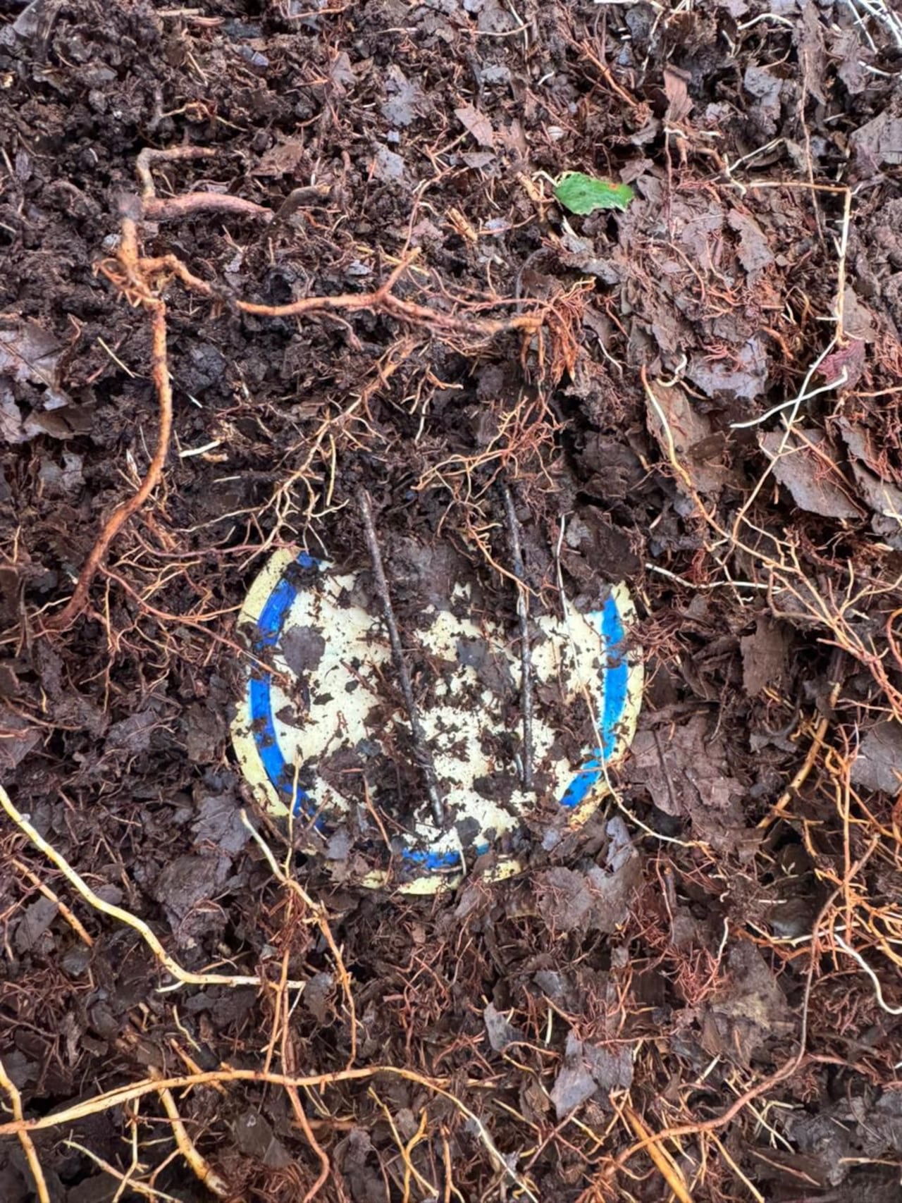 El operativo fue ejecutado por el Batallón de Despliegue Rápido No. 10 en menos de 24 horas, gracias a labores de inteligencia militar y control territorial en esta región del Cauca.