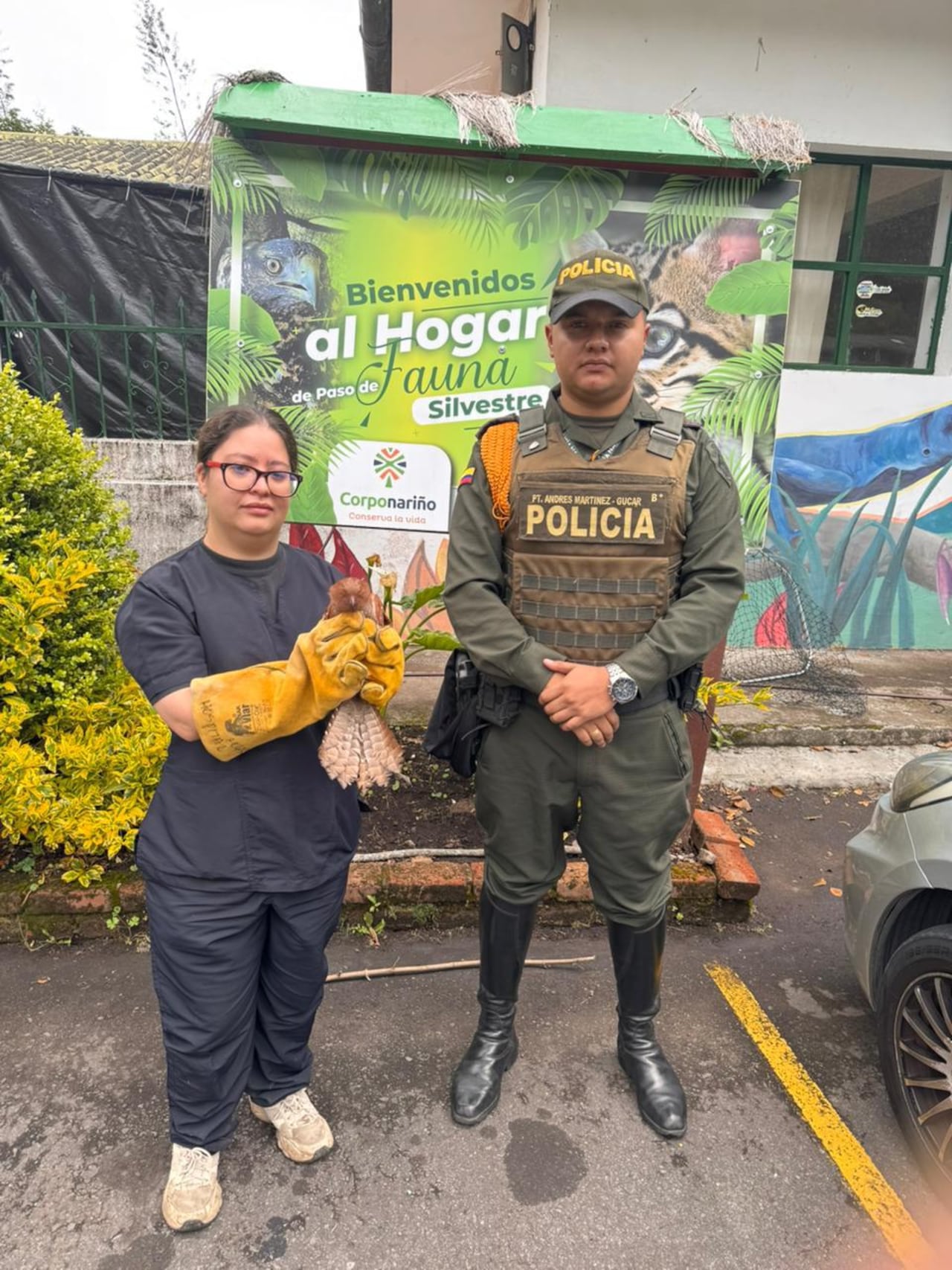 Tras su recuperación, el ave fue entregada a la autoridad ambiental competente para recibir valoración veterinaria y definir las condiciones para su posterior liberación.