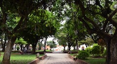 En Riofrío, uno de los atractivos más grandes ha sido su Parque Principal gracias al verdor de sus árboles.