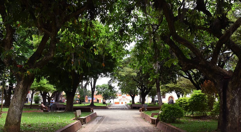 En Riofrío, uno de los atractivos más grandes ha sido su Parque Principal gracias al verdor de sus árboles.