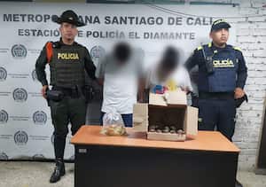 Dos personas fueron dejadas a disposición de la Fiscalía General de la Nación por el delito de tráfico de fauna silvestre. Los animales, por su parte, quedaron a disposición de la autoridad ambiental que será la encargada de que retornen a su hábitat natural.