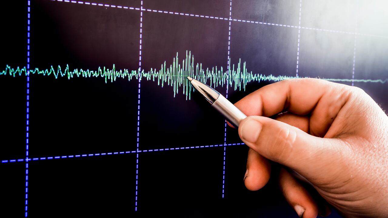 La transmisión en vivo ofrece detalles precisos sobre el epicentro y la magnitud de los eventos sísmicos.