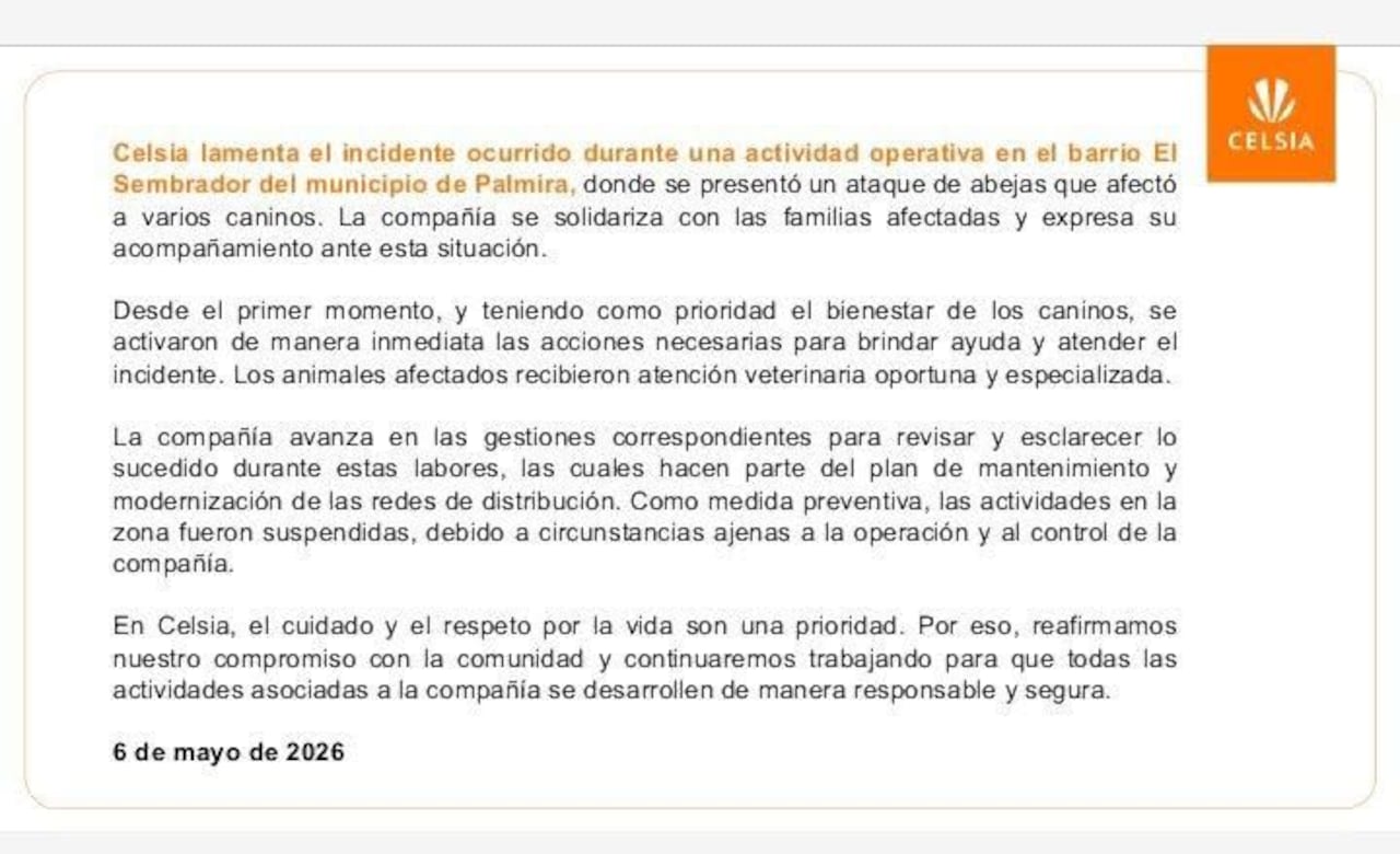 Este es el comunicado emitido por Celsia tras la emergencia ocurrida en el barrio El Sembrador, en Palmira, donde siete perros murieron luego de un ataque masivo de abejas.