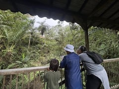 Jardín Botánico del Quindío