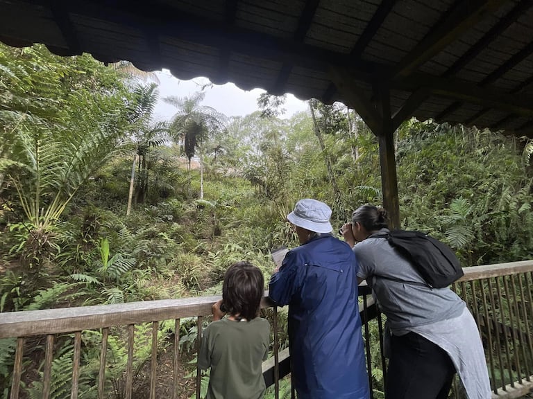 Jardín Botánico del Quindío