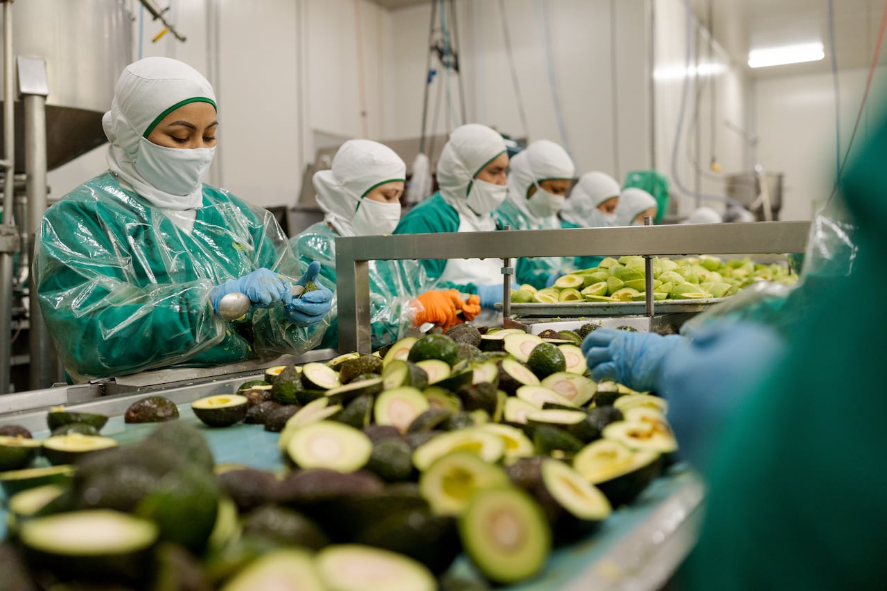 En el Valle los cultivos se concentran en Bolívar, Trujillo, Roldanillo, Caicedonia, Toro y El Dovio, representa el 8 % de las exportaciones nacionales y genera alrededor de 12.000 empleos formales.