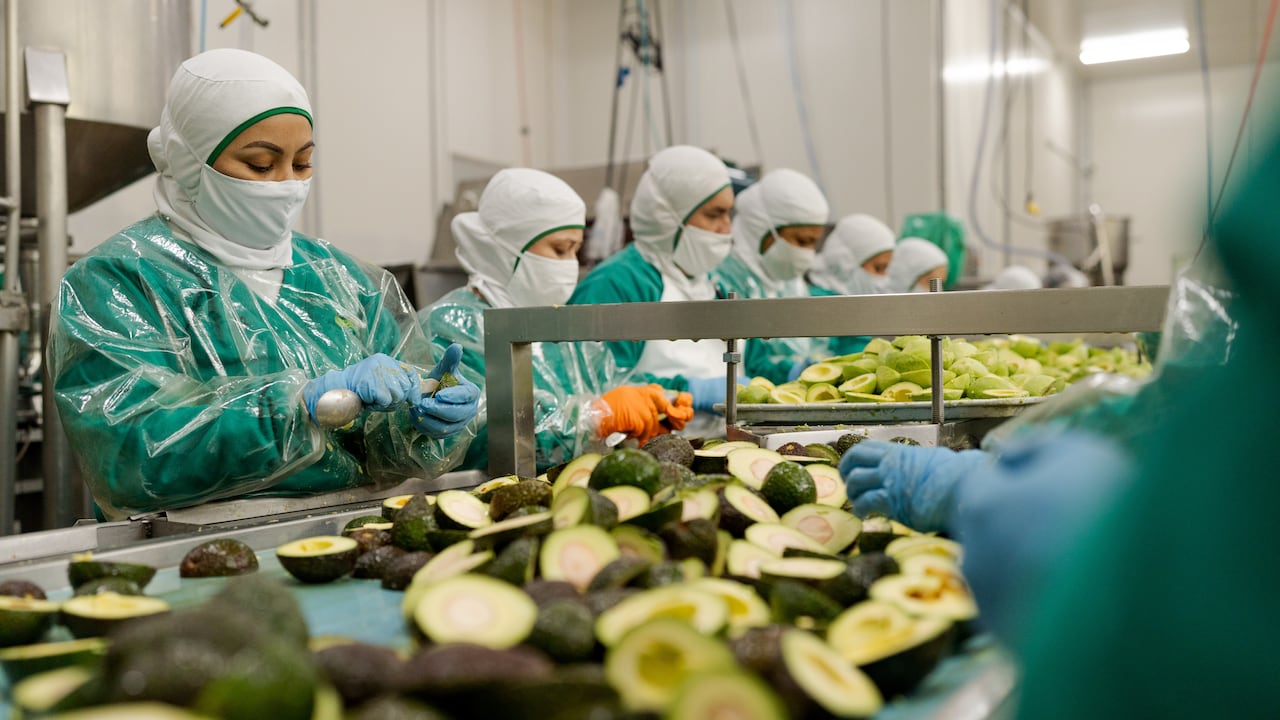 En el Valle los cultivos se concentran en Bolívar, Trujillo, Roldanillo, Caicedonia, Toro y El Dovio, representa el 8 % de las exportaciones nacionales y genera alrededor de 12.000 empleos formales.