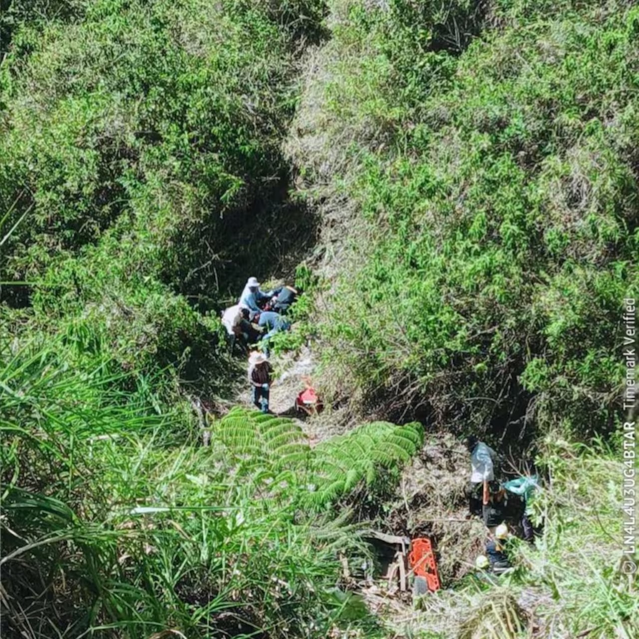 Al descender al sitio exacto del accidente, los rescatistas confirmaron el fallecimiento inmediato de los tres ocupantes.