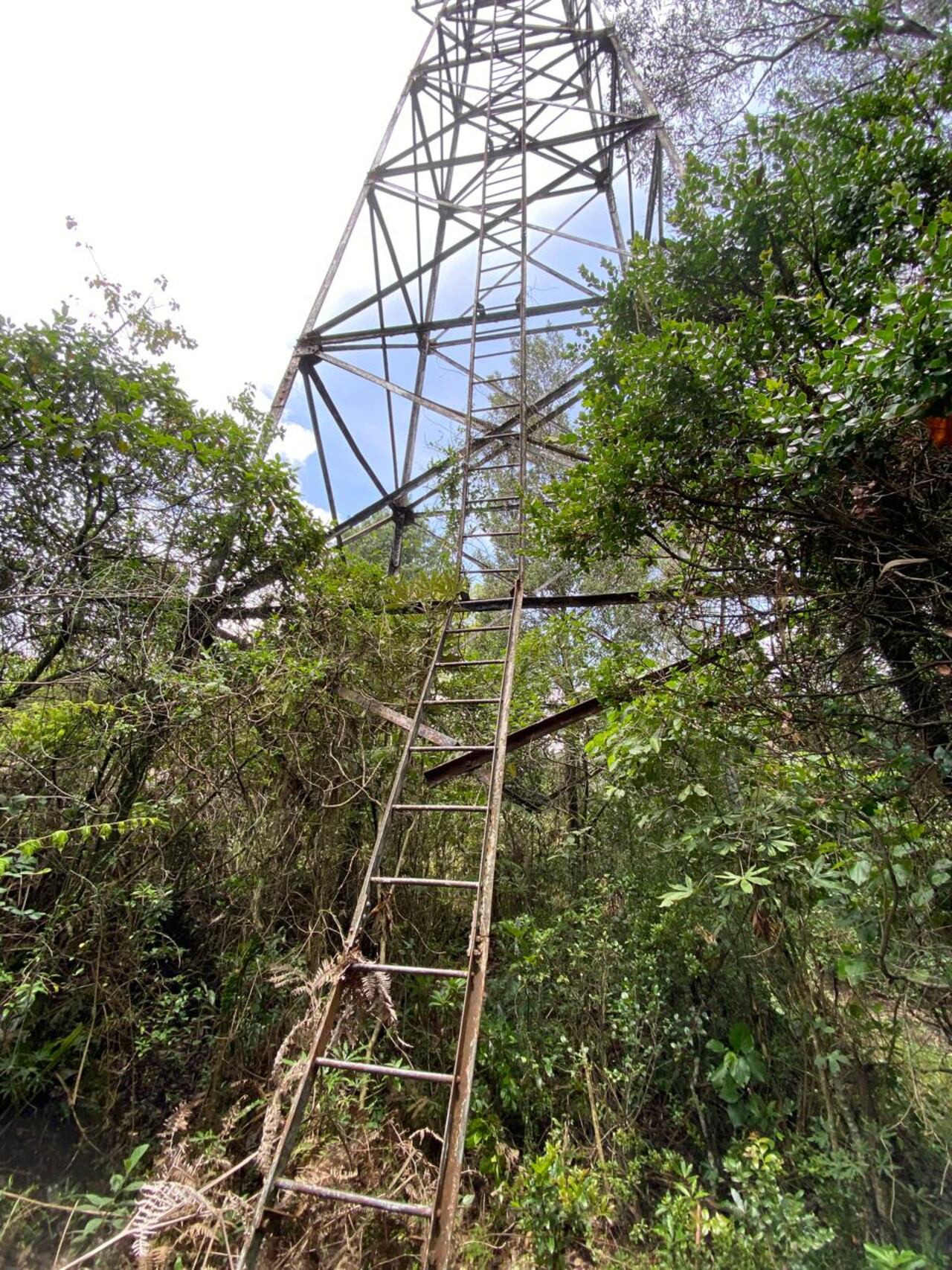 Este domingo Hernando Sánchez fue asesinado por un francotirador cuando se asomó al balcón de su casa en un exclusivo conjunto de Bogotá.