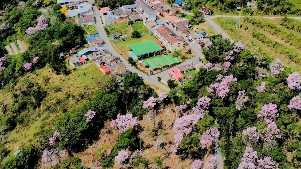 Es un municipio tranquilo y pacífico.